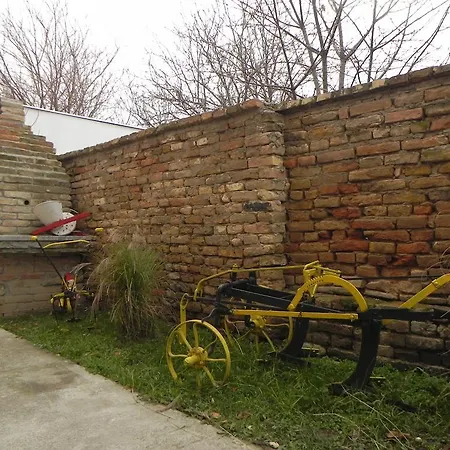 Guest Azucki Novi Becej